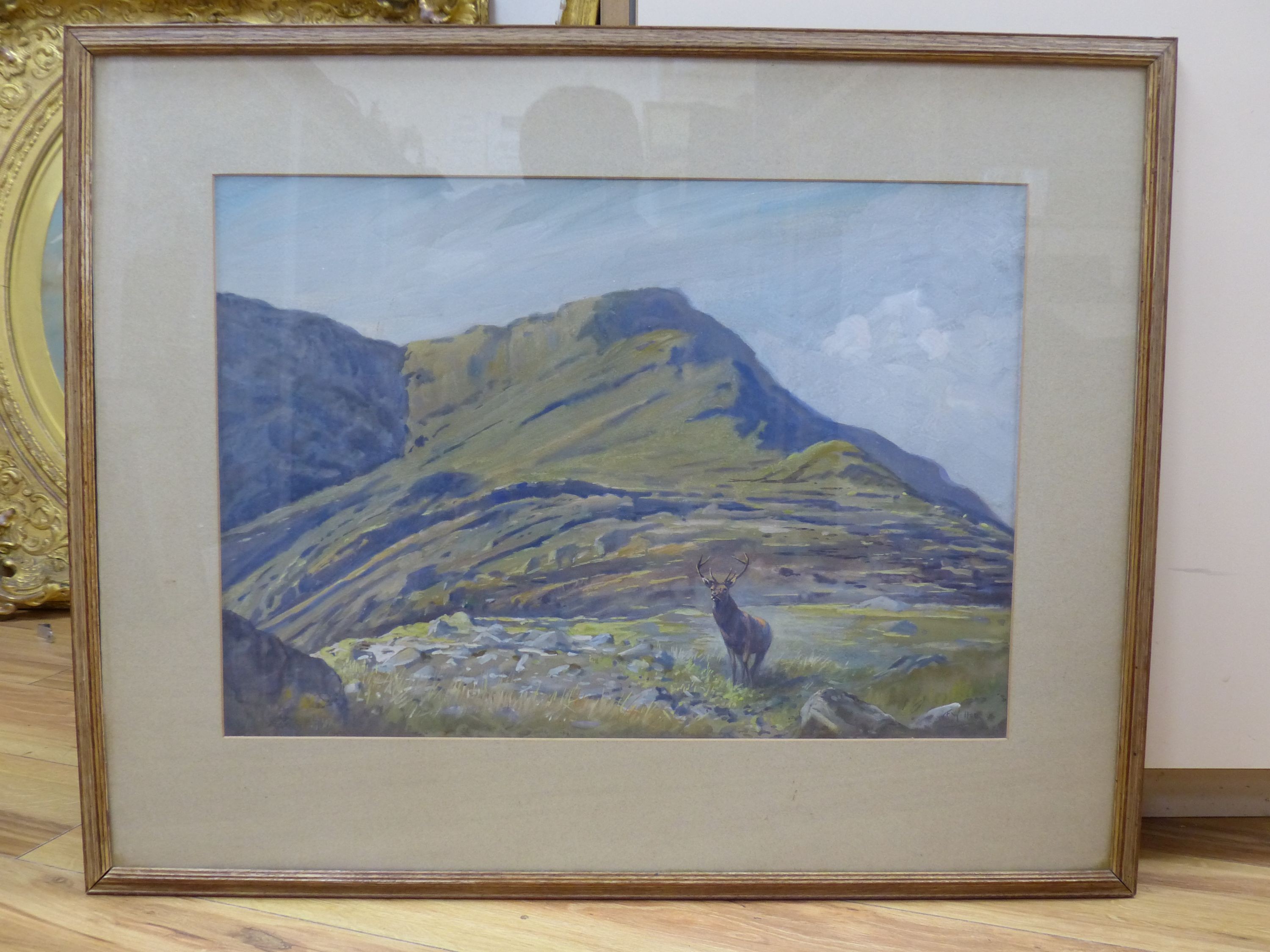 F. Weller, watercolour, Stag in the Highlands, signed, 36 x 52cm